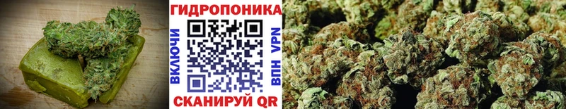 Canna-Cookies конопля  Дорогобуж 