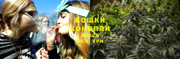 спиды Богородск