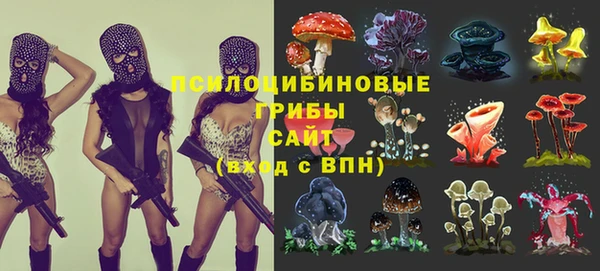 прущая мука Богородицк