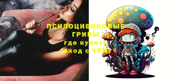 спиды Богородск