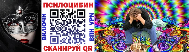 OMG маркетплейс  Дорогобуж  площадка как зайти  Псилоцибиновые грибы MAGIC MUSHROOMS 